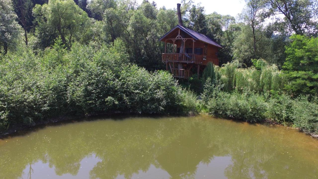 Cuibul Vulturilor - Casuta In Copac Βίλα Moisei Εξωτερικό φωτογραφία